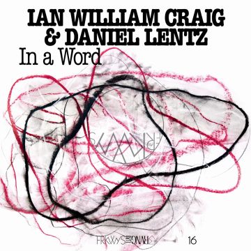 CRAIG,IAN WILLIAM; LENTZ,DANIEL - IN A WORD