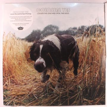 COLOSSAL YES - LOOSEN THE LEAD & SPOIL THE DOGS