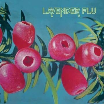 LAVENDER FLU - MOW THE GLASS