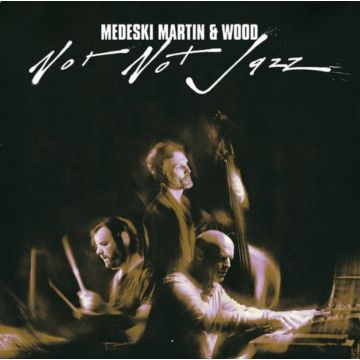 MEDESKI MARTIN & WOOD - NOT NOT JAZZ