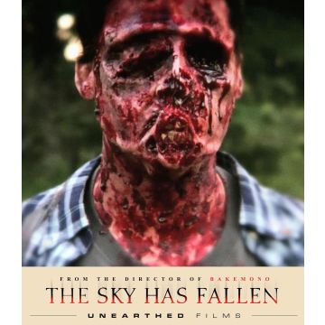 SKY HAS FALLEN