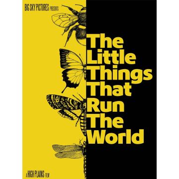 LITTLE THINGS THAT RUN THE WORLD