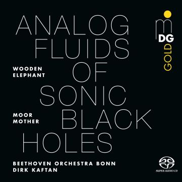 MOOR MOTHER - ANALOG FLUIDS OF SONIC BLACK HOLES