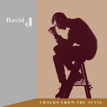 (BF23) DAVID J Tracks From The Attic (COLOR 3xLP)