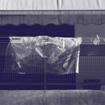WERNER DAFELDECKER - NEURAL