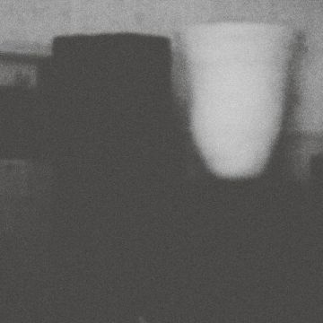 MERZBOW - PROSPERITY OF VICE, THE MISFORTUNE OF VIRTUE