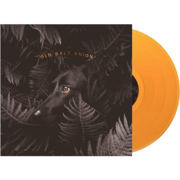 OLD SALT UNION - WHERE THE DOGS DON'T BITE