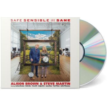 BROWN,ALISON / MARTIN,STEVE - SAFE SENSIBLE & SANE