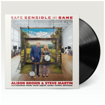 BROWN,ALISON / MARTIN,STEVE - SAFE SENSIBLE & SANE