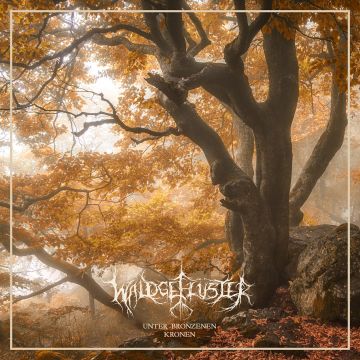 WALDGEFLUSTER - UNTER BRONZENEN KRONEN
