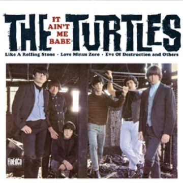 TURTLES - IT AIN'T ME BABE
