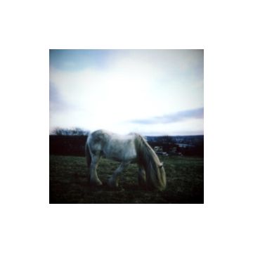 DEAN MCPHEE - NORTHERN EARTH