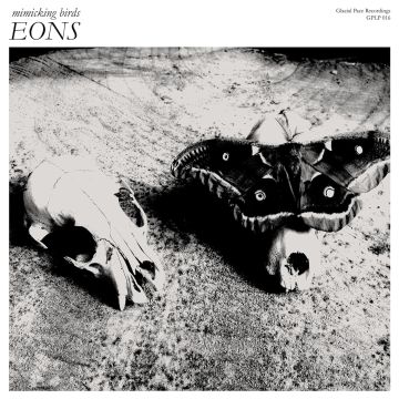 MIMICKING BIRDS - EONS