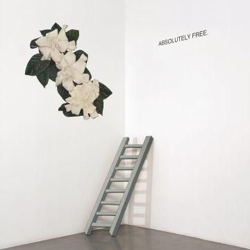 ABSOLUTELY FREE - ABSOLUTELY FREE