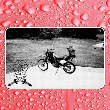 BASS DRUM OF DEATH - SAY I WON'T