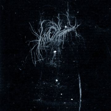 MY HEART, AN INVERTED FLAME - MY DEATH IS MORE BEAUTIFUL THAN YOUR LIFE
