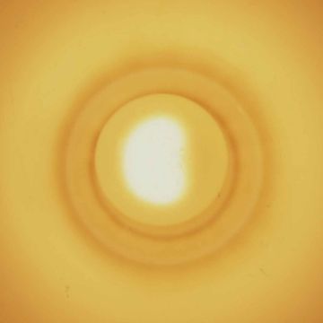 GAUTE GRANLI - MONSTERSOL
