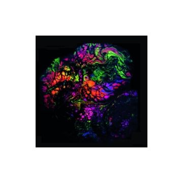 RANALDO,LEE & ROB MENARD - LEE RANALDO/ROB MENARD SPLIT RELEASE