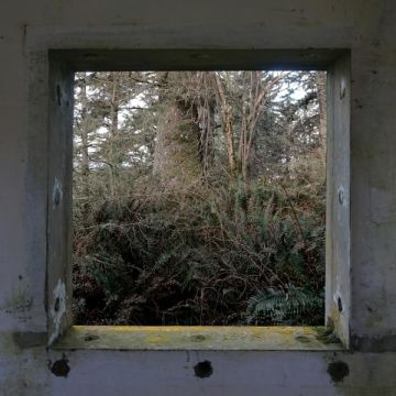 DEREK HUNTER WILSON - SCULPTURES