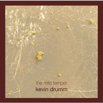 KEVIN DRUMM - MILD TEMPER