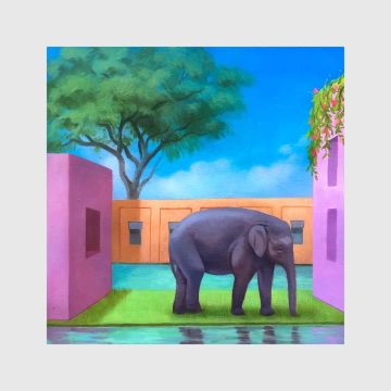 KOREA TOWN ACID - ELEPHANT IN THE ROOM