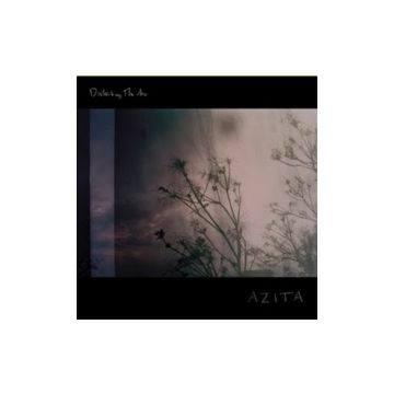 AZITA - DISTURBING THE AIR