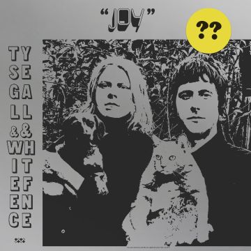 SEGALL,TY & WHITE FENCE - JOY