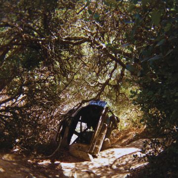 TY SEGALL - POSSESSION