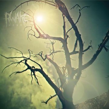 RWAKE - REST (MINT & SWAMP GREEN MERGE SPLATTER VINYL)