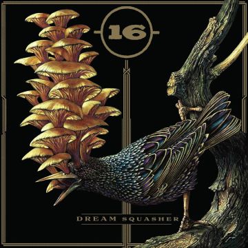 16 - DREAM SQUASHER