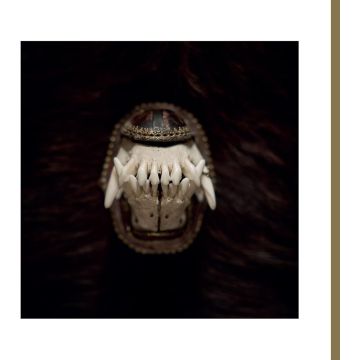 AMENRA - DE TOORN