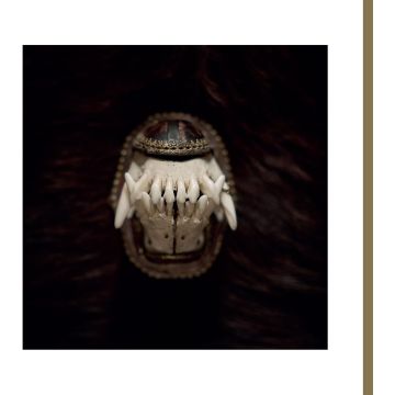 AMENRA - DE TOORN