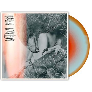 AUTHOR & PUNISHER - NOCTURNAL BIRDING (CUSTOM MERGE VINYL)