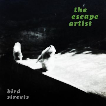 BIRD STREETS - ESCAPE ARTIST