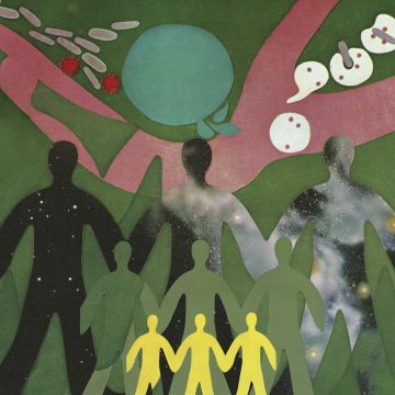 DANIEL O'SULLIVAN - PHYSIC GARDEN