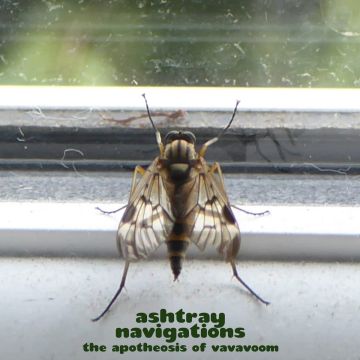 ASHTRAY NAVIGATIONS - APOTHEOSIS OF VAVAVOOM