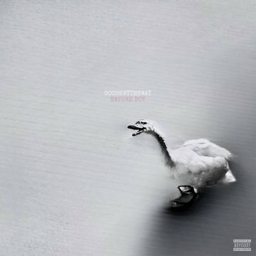GOOSEBYTHEWAY - NATURE BOY (WHITE VINYL)