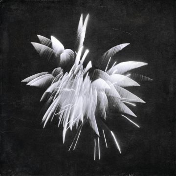 BRENT WINDLER - NEW MORNING