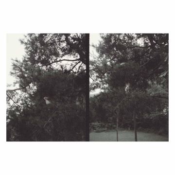 OKKYUNG LEE - JUST LIKE ANY OTHER DAY (I–'ES E) : BACKGROUND MUSIC FOR YOUR MUN