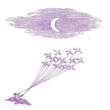 FEELING FIGURES - MIGRATION MAGIC