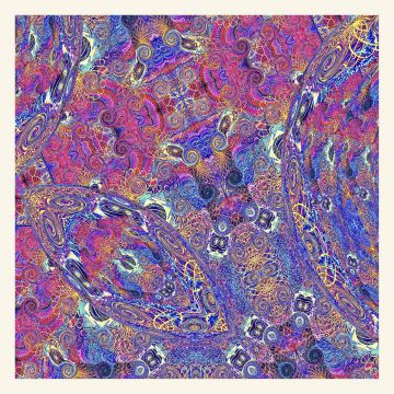 NIÑO,CARLOS & FRIENDS - PLACENTA