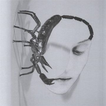 TORTOISE - TOUCH