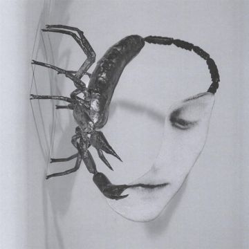TORTOISE - TOUCH