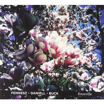 FENNESZ / DANIELL / BUCK - KNOXVILLE