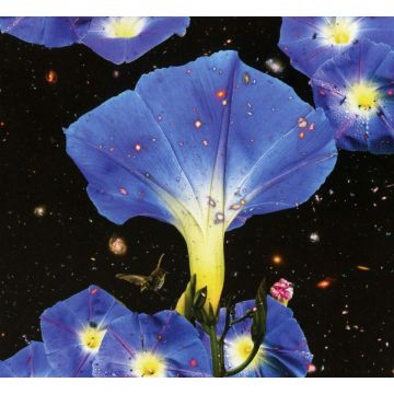 SARAH LOUISE - NIGHTTIME BIRDS & MORNING STARS