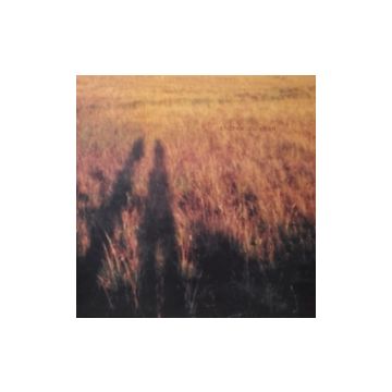 ANDREW COLEMAN - BLAME IT ON ADAM