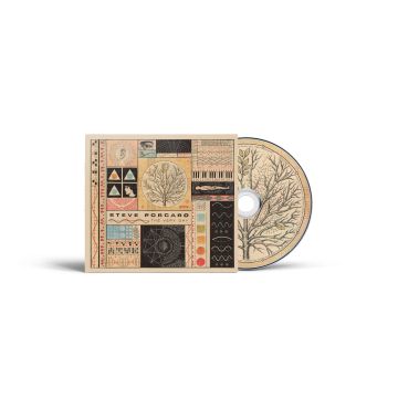 STEVE PORCARO - VERY DAY