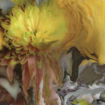 PARKER MILLSAP - WILDERNESS WITHIN YOU
