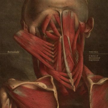 BORUSIADE - FALL: A SERIES OF DOCUMENTED EXPERIENCES