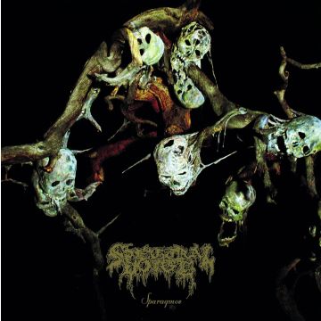 SPECTRAL VOICE - SPARAGMOS